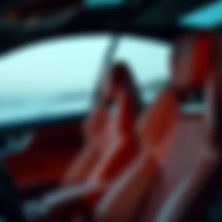 Analyzing the Optimal Leather Shine for Cars Summary
