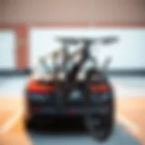 Stylish Black Widow bike rack showcasing its sleek design