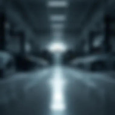 Service area highlighting maintenance and repair services for Lexus vehicles