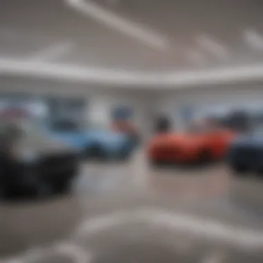 Showroom interior displaying a variety of Ford models.