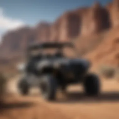 Private ad showcasing a UTV for sale