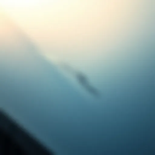 Identifying Vehicle Surface Damage Close-up view of a large scratch on a vehicle's surface